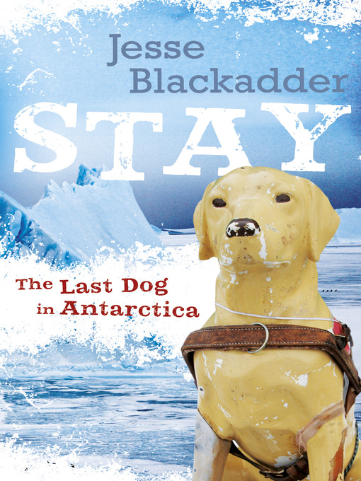 Title details for Stay by Jesse Blackadder - Available